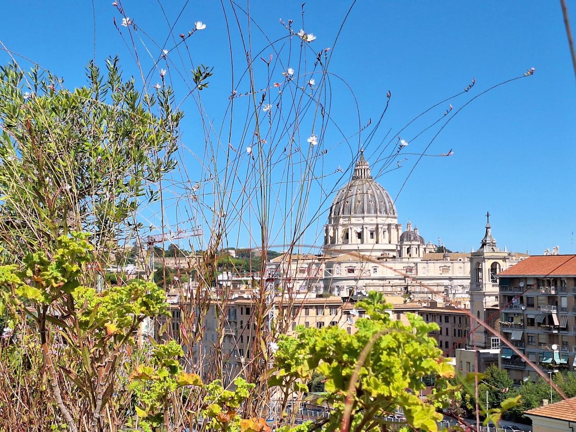 Delmirani'S Book Apartments - Vatican View Roma Dış mekan fotoğraf